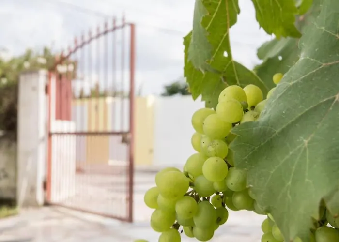 Casa Do Moleiro Casa de Férias *